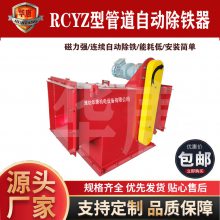 耐压耐腐蚀垂直式管道除铁器 自动除铁 RCGZ-10垂直式管道除铁器