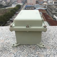 BJX51-500*600*200Ͻ