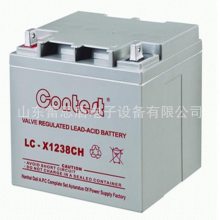 ˹ LC-X1224CH UPSԴ ֱõ12V24AH