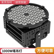 LED 300w400w500W1000WVؽ̽Ͷ