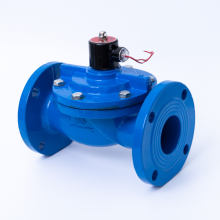 ݰ 304  ˮ÷ŷZCS-10P-DN50 DN65