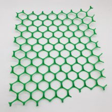ŵɫ·ǿHDPE