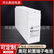 ¹GFMZϵǰöӵ12V100AH