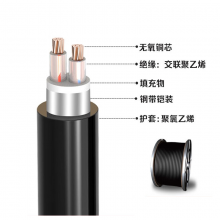 ʴ  YJV22 0.6/1KV ѹ 2*10mm? ɫ