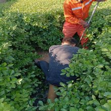广和路化粪池清理移动厕所管道疏通培训抽化粪池