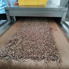 豆类休闲食品熟化机 防霉杀菌同时进行