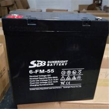 ʥ6-GFM-65Ǧά12V6***HӦõ