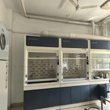 潍 坊 全钢通风橱落地式通风柜厂家 支持定做盛翔