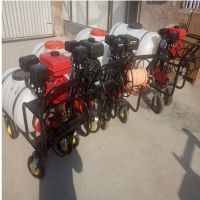 风送式果园果树打药机 启硕消毒杀虫汽油高压打药机 果园苗圃汽油喷药机