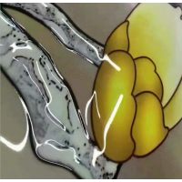 ˮԻ ŷԻ۸ ˮԻƼ̼