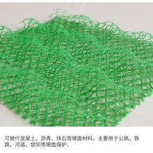 护坡绿化EM3三维网垫批发护坡三维植被网荆州