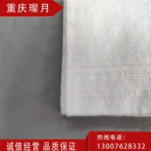 璨月高硅氧纤维毡 耐温950℃ 孔隙率高 隔热性好的纤维毡 工厂直发