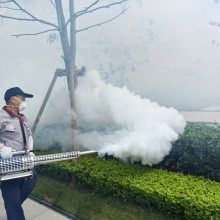 绰,ɶо,ɶ湫˾