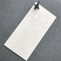 400x800中板瓷片 上墙瓷砖 工程砖