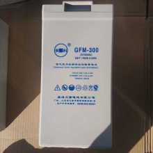 ¡GFM-8002V800AHֱ