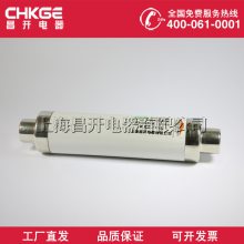 高压分段能力限流熔断器XRNT1-20,24/3.15-40A熔断器尺寸51*505
