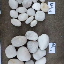 安徽安庆白色抛光鹅卵石卖，顺永白色鹅卵石批发商