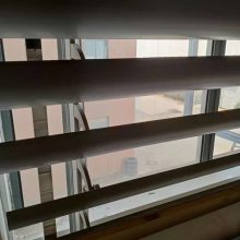 ����������Ҷ ���Ͻ��Ҷ���� ������Ҷ