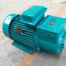 г綯 ػYZR YZ YZ160M1-6-5.5kw