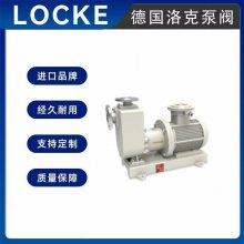 进口磁力自吸泵 卧式安装 振动小 噪音低 德国洛克品牌 LOCKE