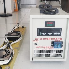 XD-300ͱƵȡƬ