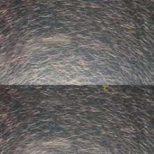 304ɰ 201˿ ɫװΰľתӡ䲻