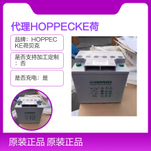 HOPPECKEɱSB12V60AHֱ ͨѶUPSԴ