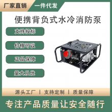 大功率高扬程汽油机动泵二冲程风冷抽水泵便携背负式水冷消防泵