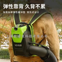BLF446ʽ﮵ˢ綯40VѩҶ