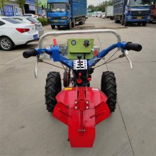 綯 ũС豸 Сؿ΢豸 ַ