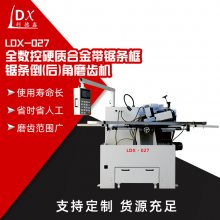 LDⅩ-027全数控硬质合金带锯条框锯条倒(后)角磨齿机