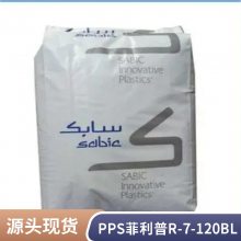 PPS R-7-120BL ѩ
