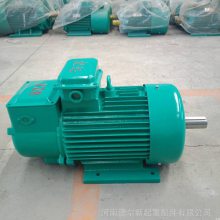 YZR起重电机 起重机冶金电机 三项异步电动机