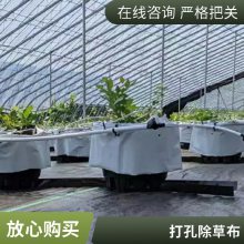 供应辽宁果园防草除草地布厂家 毛桃苗除草布地布 种药材专用防草地布