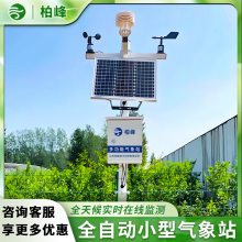 全自动小型气象站 田间自动气象站 多参数气象监测系统 BF-QXZ柏峰 太阳能自动气象监测站