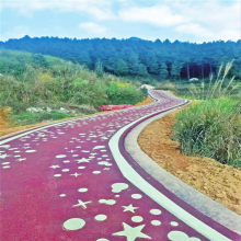 山东德州塑胶篮球场厂家_德州塑胶球场地面_德州塑胶地垫_山东鑫威体育
