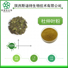斯诺特生物 棕黄色粉末 杜仲叶提取物 杜仲浸膏粉 包邮发货