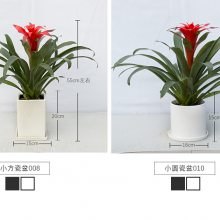 ҵ񿪻ֲ人ֲ޺˵ͷҲðڷר ҵ