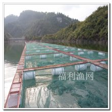 豸  ֳʳ