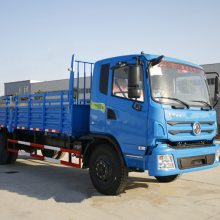 东风华神TJG193特商9米B2平头教练车参数配置图片