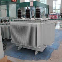 S11-800KVAͽʽѹ ˫ 22kv 35kvѹȼ