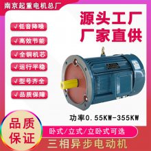 Ͼص YE3첽22kw Ч ȶǿ 綯