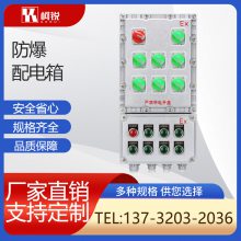 防爆配电箱定制定做不锈钢控制柜动力照明开关插座接线空箱