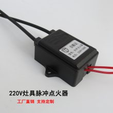 批发脉冲点火器灶具配件微动煤气灶220V煤气炉具双灶熄火保护装置