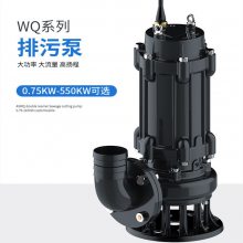 100WQ50-22-7.5潜水排污泵防爆全保耐提升泵污水泵