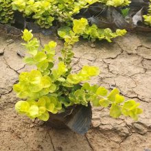 �����ر����ܻ���_�Ϸ��ر����ܹ�����
