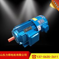 YVP-225M-4/45kw첽 YVPϵбƵٵ綯 Ƶ