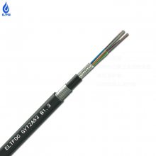 ELTFOC˹GYTZA53ȼֱʽֱ