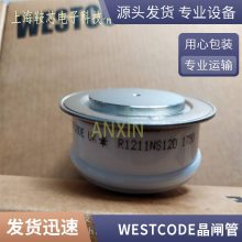 R1446NS10E 全新西码WESTCODE平板可控硅 晶闸管