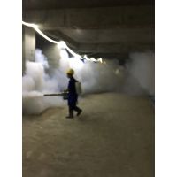 黄埔区杀虫公司|专业杀虫公司哪家好